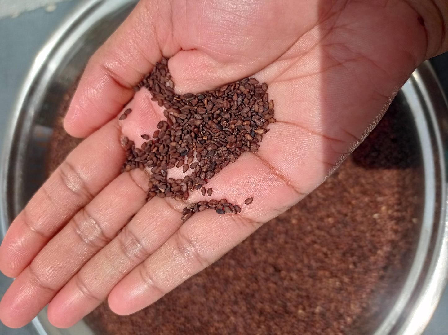 Native Black Sesame seeds 22kg